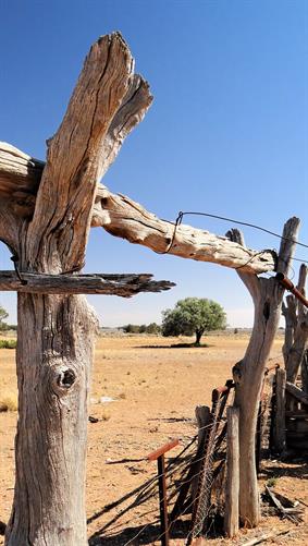 Abandoned Shed, WA